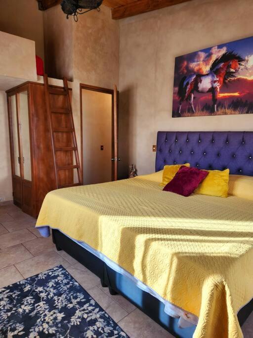 Santa Elena Chalet