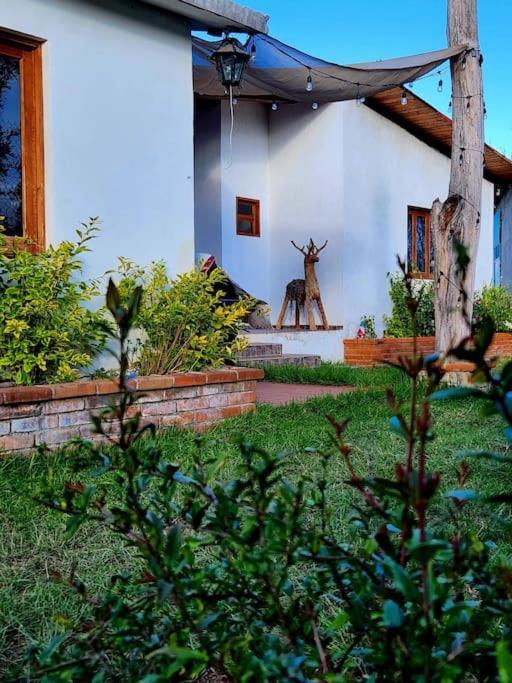 Santa Elena Chalet *