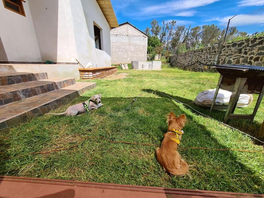 Santa Elena Chalet